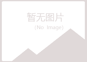 河池浮梦能源有限公司